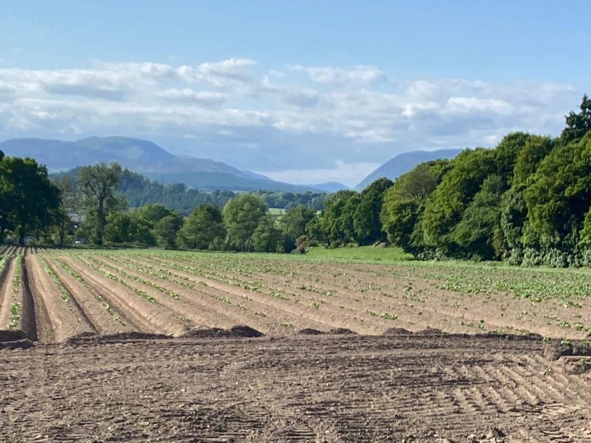 Spacious Cottage - Walk To Crieff Eksteriør bilde