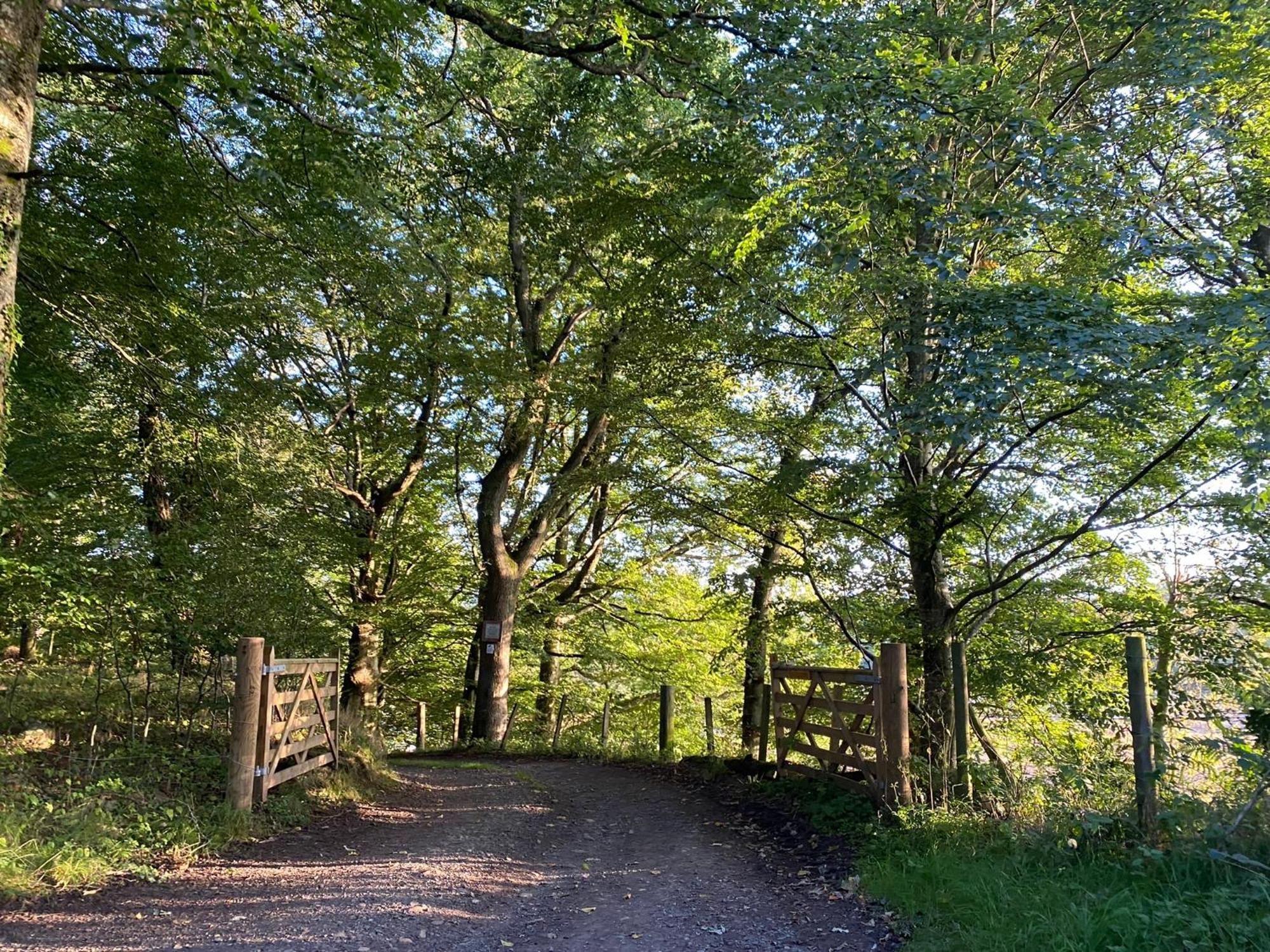 Spacious Cottage - Walk To Crieff Eksteriør bilde